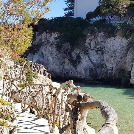 Apartment Menorca Biniforcat 42